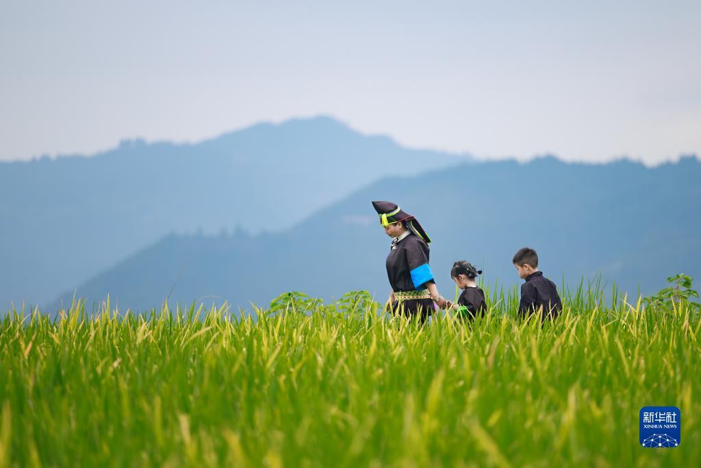 破解老虎机苹果机程序
